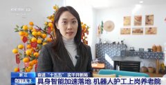 奋进“十五五” 实干开新局丨机械人“上